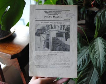 May include: A vintage pamphlet titled "Poultry Pointers" from the State College of Washington Extension Service, January 1962, with a black and white photo of a chicken coop and the text "Backyard Poultry Keeping".
