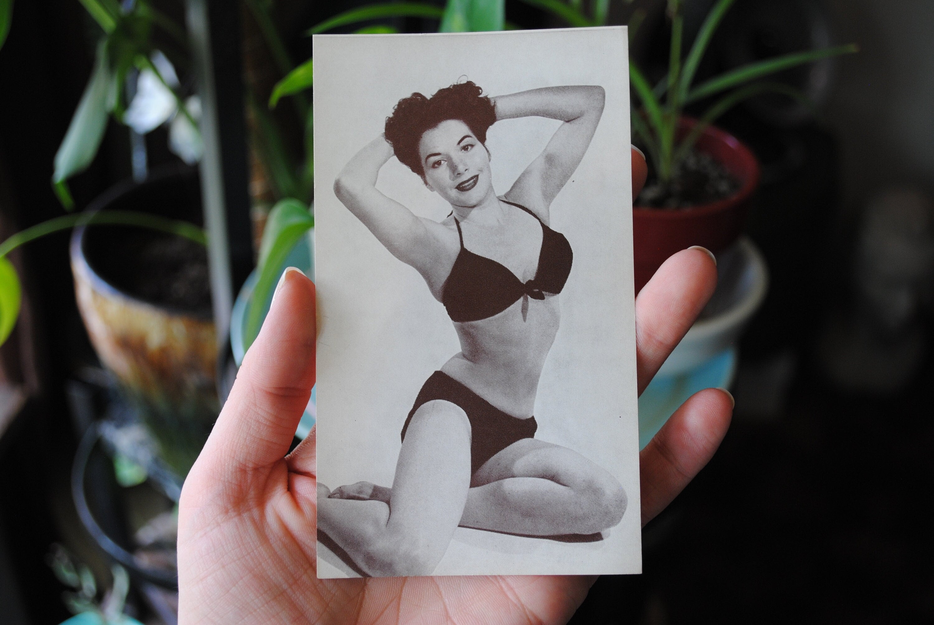 ヴィンテージ ピンナップガール PIN UPS USA エロ セクシー アメリカ Amazon.com: PINUP GIRLS IN SEXY LINGERIE ~ 12 Large Greeting