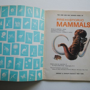 1972 the How and Why Wonder Book of Prehistoric Mammals - 5033 ...