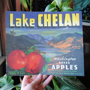 May include: Vintage Lake Chelan Washington Boxed Apples label featuring a scenic mountain lake view and red apples. The label reads "Lake Chelan Washington Boxed Apples Produce of U.S.A."