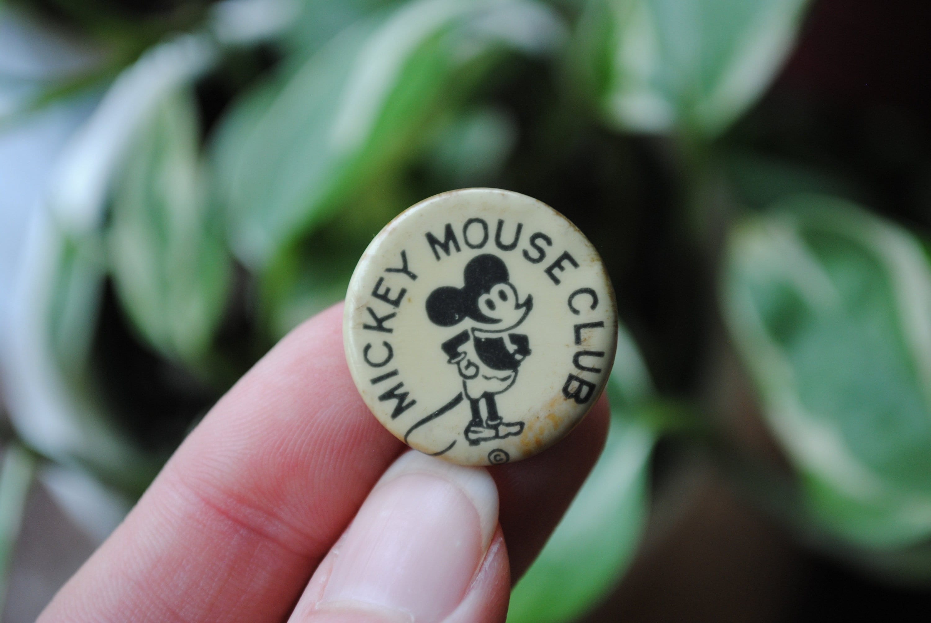 1930's Mickey Mouse Club Button - Pin Back - Fan Club Member