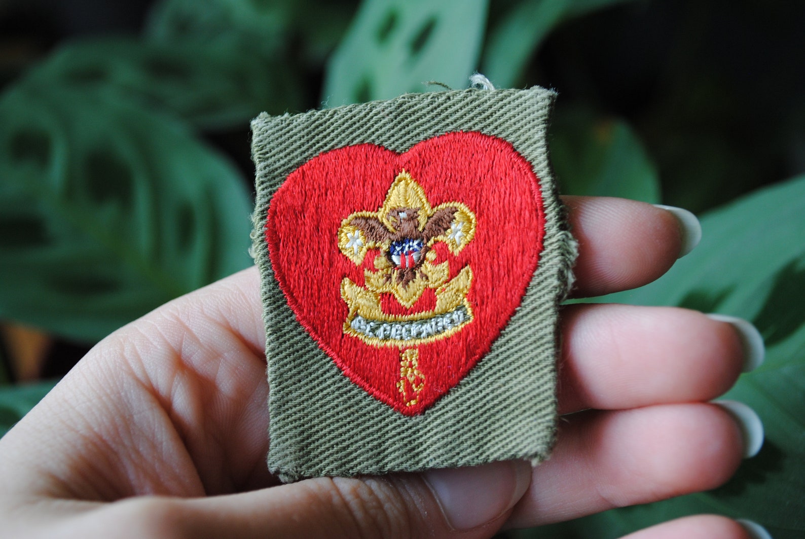 Vintage Boy Scouts Life Rank Emblem Patch Red Heart Eagle Etsy