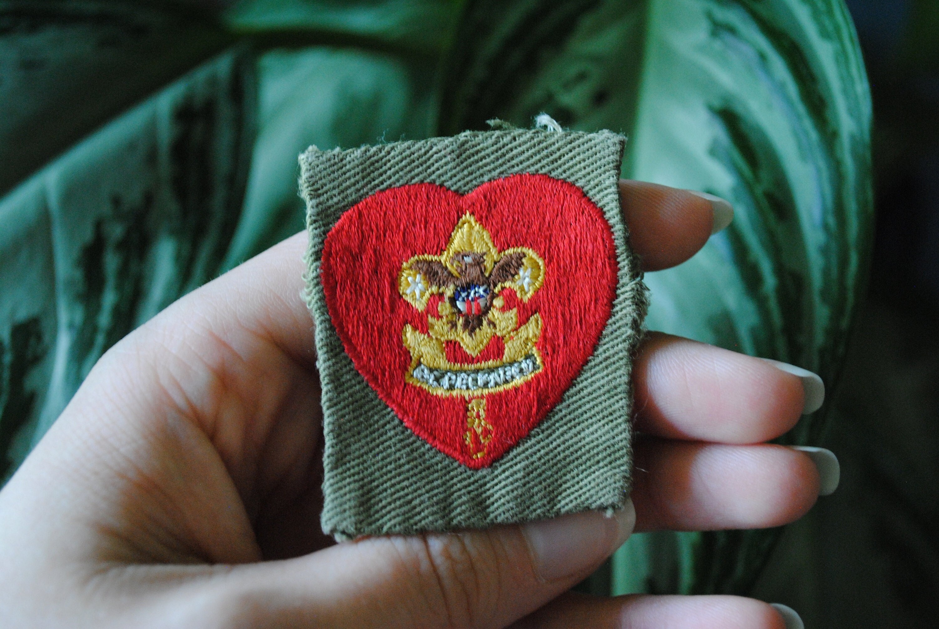 Vintage Boy Scouts Life Rank Emblem Patch Red Heart Eagle Etsy