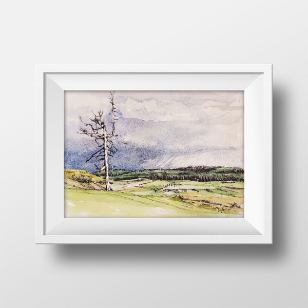 The Ghost Tree at Old Macdonald Watercolor Art Print, Bandon Dunes Golf Resort Hole 3 Old Macdonald Painting