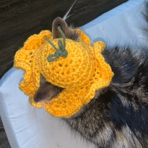 Crochet pet hats (Customizable check description)