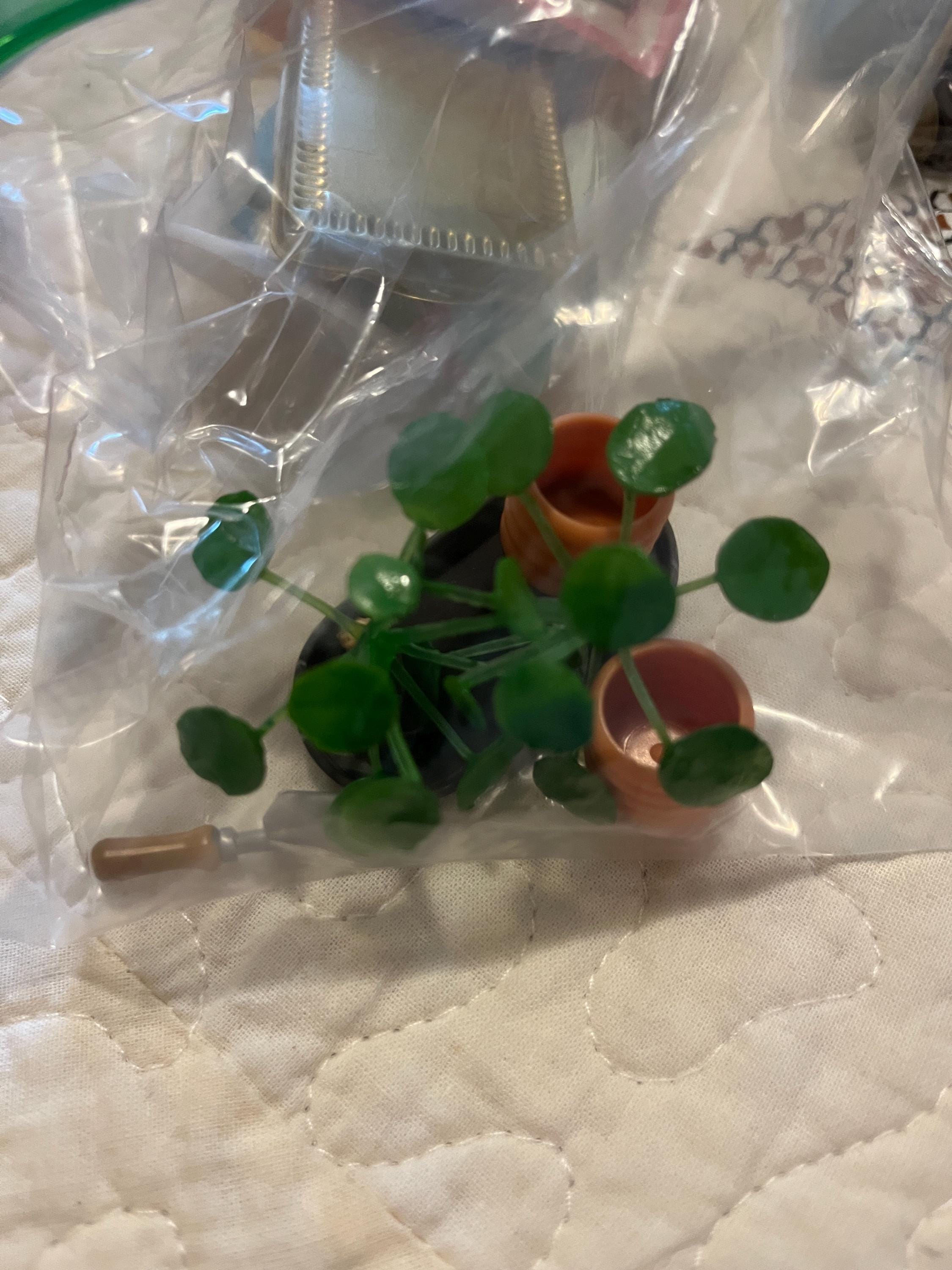 cheapest plant 3-5 FT ZZ Plant- NYC, NJ, CT, Boston, Providence, Washington DC, Baltimore,  Philadelphia, Princeton, Long Island, and Upstate NY Local Plant Delivery –  Dahing Plants main image 1