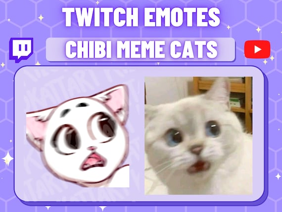 Discord Cat Emote / Emote Set Set of 3 Discord Emojis / Funny