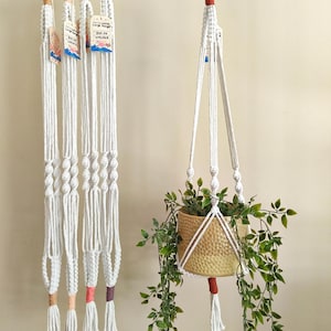 May include: Four off-white macrame plant hangers made of cord, featuring knotted patterns and coloured accents at the top and bottom. One hanger holds a textured gold-toned pot with a trailing green plant. Each hanger has a small paper tag attached.