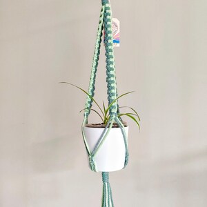 May include: A macrame plant hanger crafted from sage green and light mint cord, featuring a knotted design that supports a plain white ceramic pot containing a small green plant. A small rectangular tag is attached to the upper cord section.