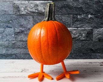 3D Printed Chicken Gourd/Pumpkin Push-In Feet Set of 2 Feet - 3D Printed - Fall Decor - Chicken Decor - Farm Decor