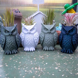 May include: Four owl-shaped planters in shades of gray, white, and blue, each holding a plant with green and pink foliage. The planters have detailed feather textures and are arranged on a green surface.