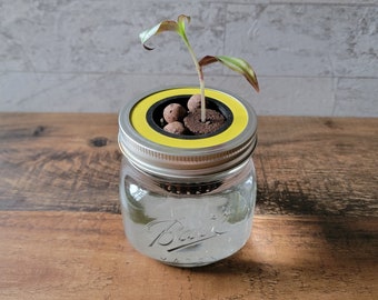 3D Printed Mason Jar Hydroponics Grow Kit: Kratky Method