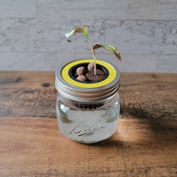 3D Printed Mason Jar Hydroponics Grow Kit: Kratky Method