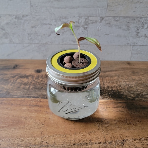 3D Printed Mason Jar Basket Hydroponics Lid Set of 2 - Grow Kit - Kratky Jar - Wide Mouth Mason Jar Lid