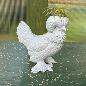 May include: A light gray, hen-shaped planter with a textured surface. The planter has a large crest and a frilly beard. A small green plant sits in the planter's head. The words "Our Wren's Nest Shop" are printed on the surface.