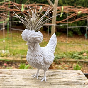 Polish Chicken Air Plant Planter – 3D Printed Flower Pot for Garden & Home Decor