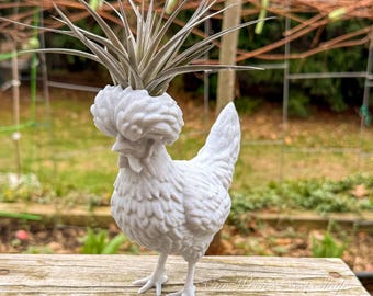 Polish Chicken Air Plant Holder – 3D Printed Planter, White Marble Finish
