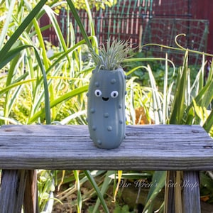 May include: A matte sage green pickle-shaped planter featuring a small, smiling face with two white googly eyes and a black mouth. The surface has raised, rounded bumps and holds a spiky, light green air plant extending from the top opening.