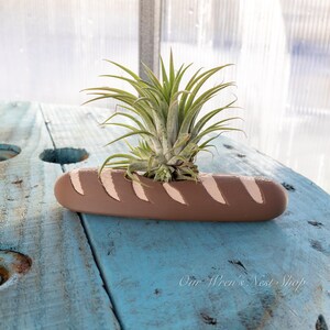 May include: A brown ceramic planter shaped like a baguette, with white decorative slashes. It holds a green air plant with long, spiky leaves. The planter sits on a weathered, light blue wooden surface. The shop name "Our Wren's Nest Shop" is visible.