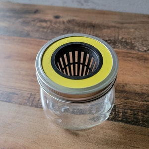 May include: A clear glass jar with a metal lid and a yellow and black hydroponic insert. The jar sits on a wooden surface. The hydroponic insert has a circular design with vertical slots.