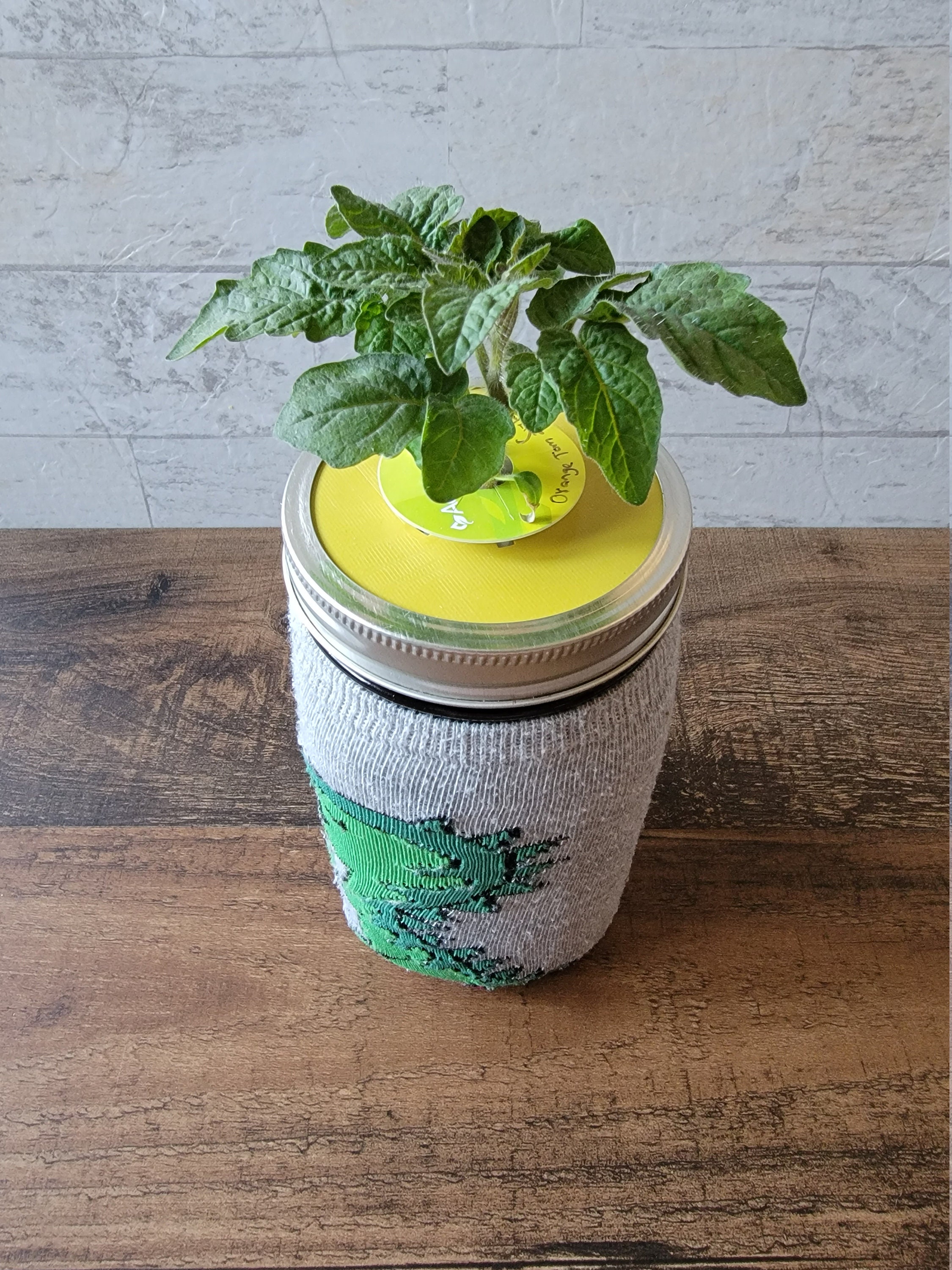 3D Printed Mason Jar Hydroponics Lid Set of 2 Kratky Jar Etsy