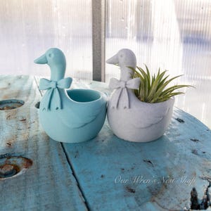 May include: Two duck-shaped planters, one light blue and one gray, sit on a weathered blue wooden surface. Each planter has a bow tie and a hollowed-out center. The gray planter holds a small green plant. The text "Our Wren's Nest Shop" is visible.