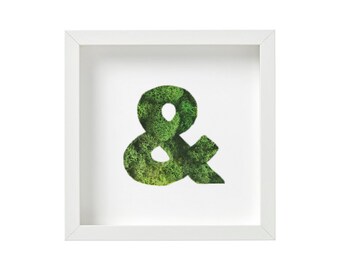 Moss '&' Frame - 9x9" or 12x12"                                    Handcrafted, Natural, and Preserved Moss Art