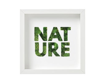 Moss 'NATURE' Frame - 9x9" or 12x12"                                    Handcrafted, Natural, and Preserved Moss Art