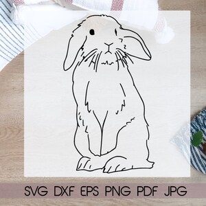 Holland Lop Rabbit clipart, easter bunny svg file, downloadable prints for easter, name tags