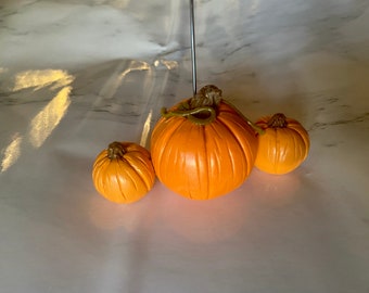 Pumpkin picture holder
