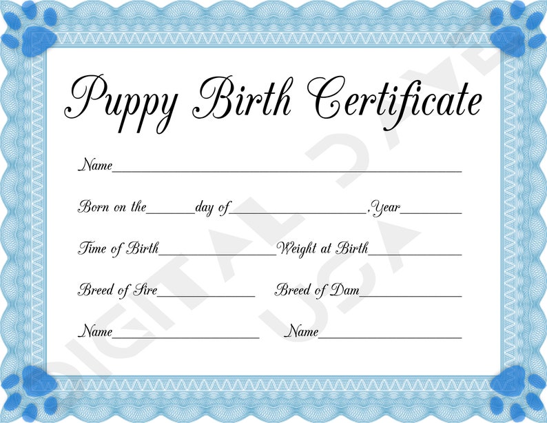 May include: A blue and white puppy birth certificate with a paw print in each corner. The certificate has the text "Puppy Birth Certificate" at the top and includes fields for the puppy's name, birth date, time of birth, weight at birth, breed of sire, breed of dam, and the names of the sire and dam.