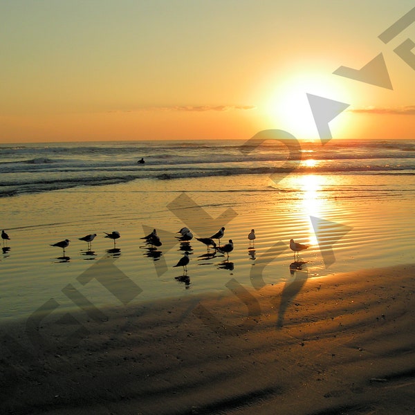 INSTANT "Sunrise Surfer Meeting" Digital Scenic Image Photo Download 2560p x 1920p x72r jpg 4/3 1.33 Royalty Free - Use As Needed