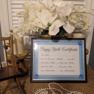May include: A blue and white puppy birth certificate with the name Rover, born on the 2nd of September 2022, at 8:50pm. The certificate states the puppy is a Yorkie, weighing 6 oz at birth. The parents are named Poppa Yorkster and Momma Yorkster.