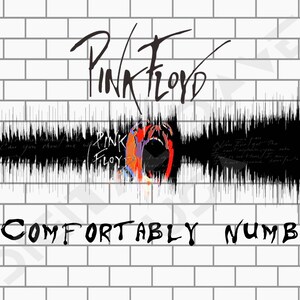 Pode incluir: Um gr&aacute;fico de onda sonora preto e branco com o texto "Pink Floyd" e "Comfortably Numb" em um fundo de parede de tijolo branco. O gr&aacute;fico de onda sonora inclui uma imagem vermelha, laranja e roxa de uma boca gritando.