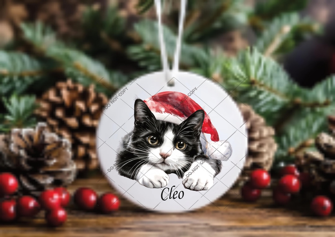 Charming Black and White Cat Christmas Decorations for a Timeless Festive Touch
