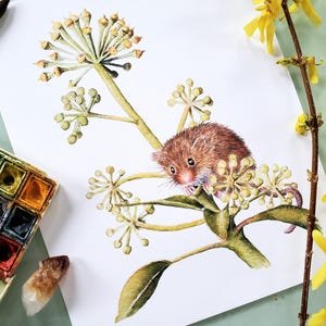 Harvest Mouse with Ivy Blossoms, 8x10 Mouse Print, 8x10 Watercolor Print, Nature Art, Mouse Painting
