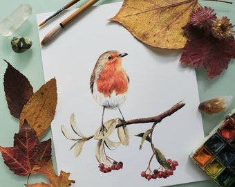 Robin with Red Berries, 8x10 bird art, 8x10 watercolor painting, art print, cute bird, watercolor print, Robin painting, wall decor
