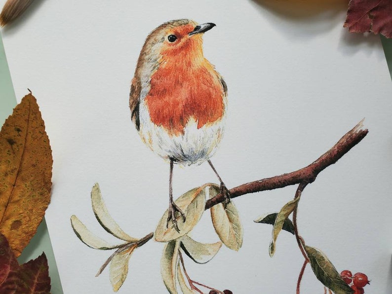 Robin With Berries Watercolor Art Print, Bird Wall Decor (8x10) - Etsy