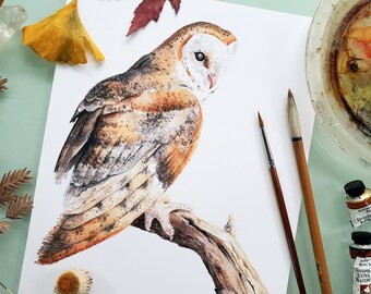 Barn Owl Painting, 8x10 Owl Print, 8x10 Watercolor Print, Nature Art, Owl Painting, Cute Animal Painting, Bird painting, Watercolor Art