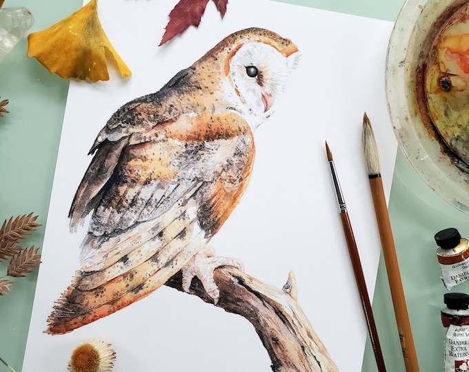 Featured listing image: Barn Owl Painting, 8x10 Owl Print, 8x10 Watercolor Print, Nature Art, Owl Painting, Cute Animal Painting, Bird painting, Watercolor Art