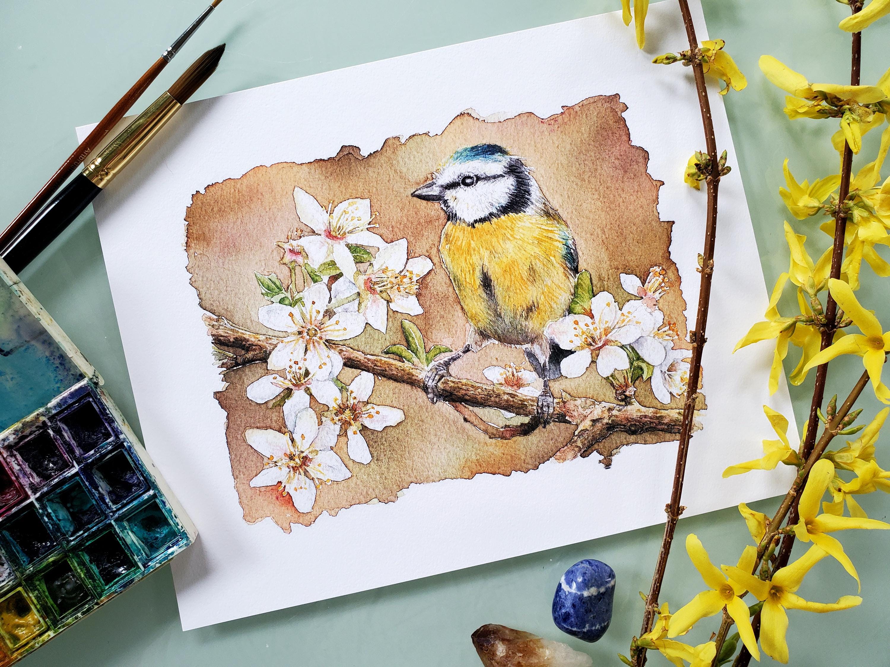 Blue Tit with Blossoms, 8x10 bird painting, 8x10 watercolor print, bird art, spring art