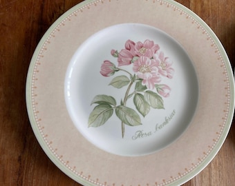 May include: A white ceramic dinner plate with a pink and green floral design. The plate has a light pink rim with a delicate pattern of small dots. The center of the plate features a detailed illustration of a pink rose with green leaves and the text "Rosa Banksiae".