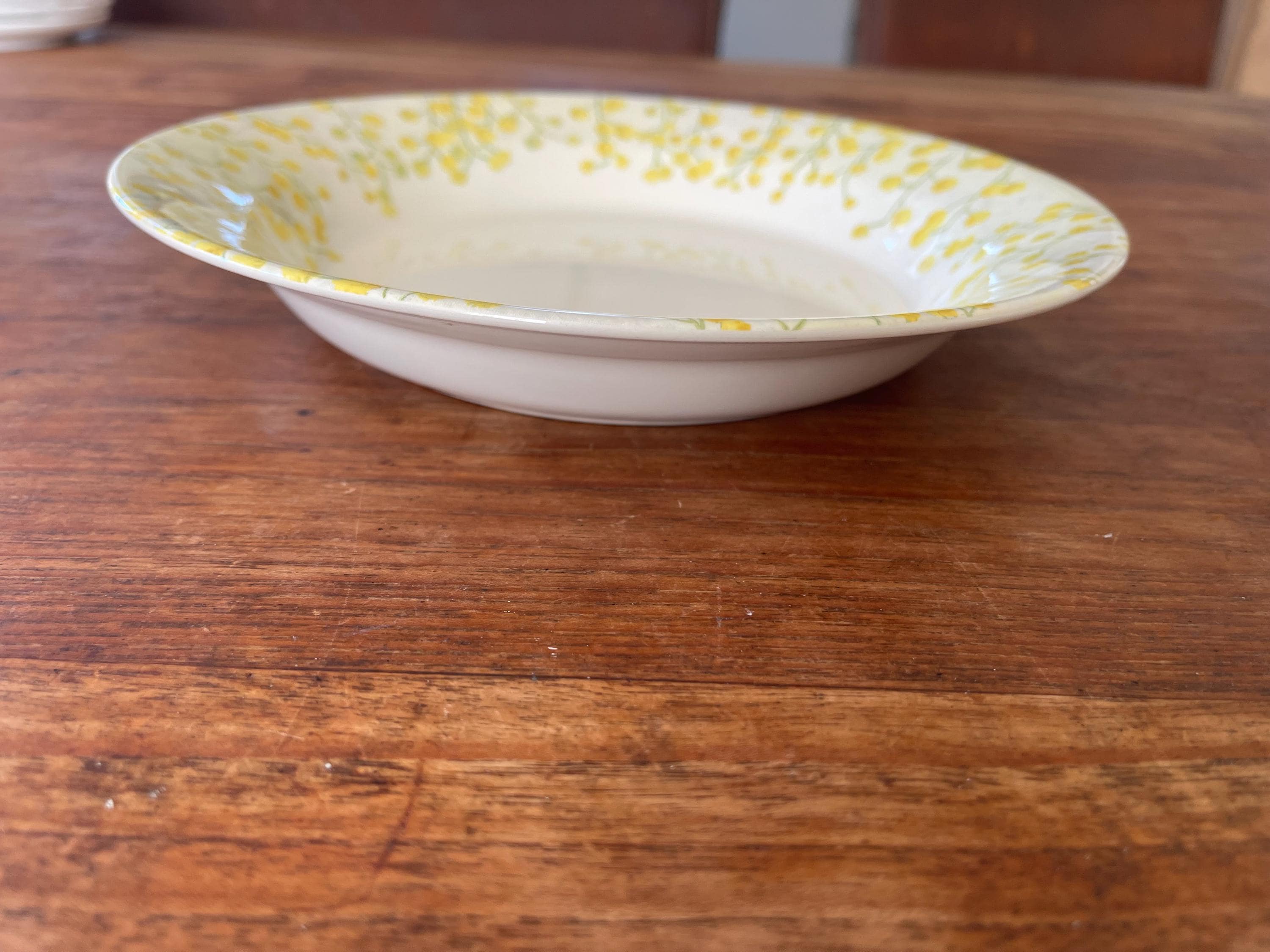 Gien mimosa ジアン ミモザ プレート 22cm Gien mimosa ジアン ミモザ プレート 22cm Gien mimosa ジアン ミモザ