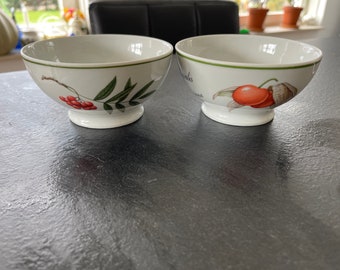 Set de 2 Vintage Apilco Francia- Elysian Gardens Breakfast Bowl/Musli/Postre Bowl 12.5cm- 4 7/8" Tazón multiusos- ¡Muy raro!