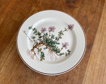 May include: White ceramic plate with a brown rim, featuring a botanical illustration of thyme (Thymus pulegioides). The design includes green leaves, purple flowers, and the plant's root system. The plate is on a wooden surface.