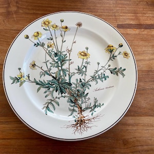 Villeroy boch botanica - Etsy 日本