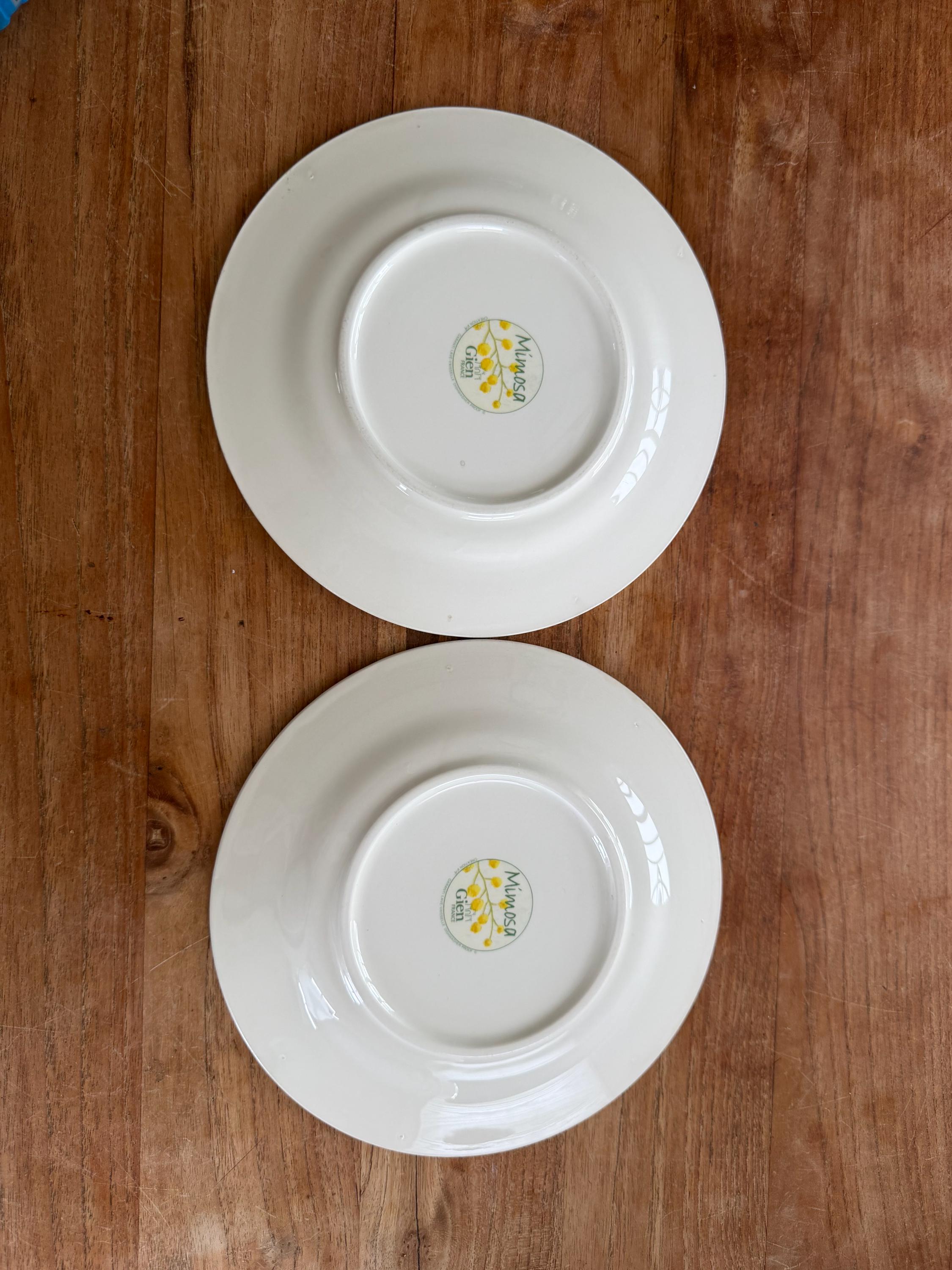 GIen FRANCE プレート Set of 2 Gorgeous Gien France 