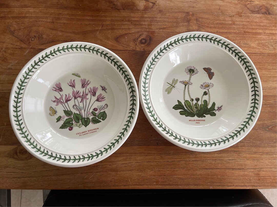 Secret Garden Plates 8.7" 22cm Set Of 4 Fine Bone China Deep - View #5