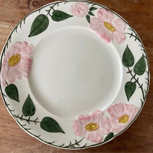 A Beautiful Villeroy and Boch Germany Wild Rose/Wildrose Handmalerei Dinner Plate-Dinner Plate 26cm Rare image 1