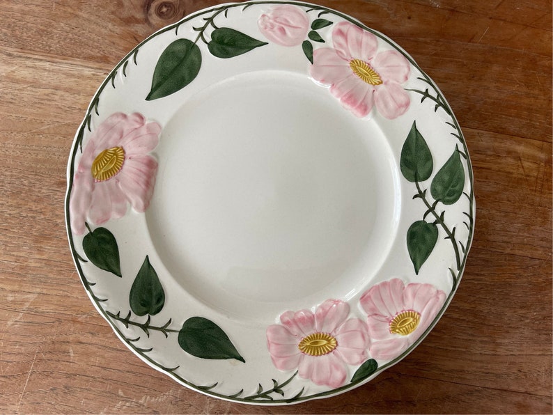 A Beautiful Villeroy and Boch Germany Wild Rose/Wildrose Handmalerei Dinner Plate-Dinner Plate 26cm Rare image 1